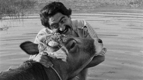 Darius Mehrjui’s “The Cow” - A Cinematic Masterpiece Inspiring Controversy and Acclaim